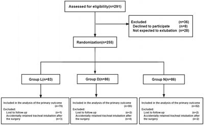 Intraoperative application of low-dose dexmedetomidine or lidocaine for postoperative analgesia in pediatric patients following craniotomy: a randomized double-blind placebo-controlled trial
